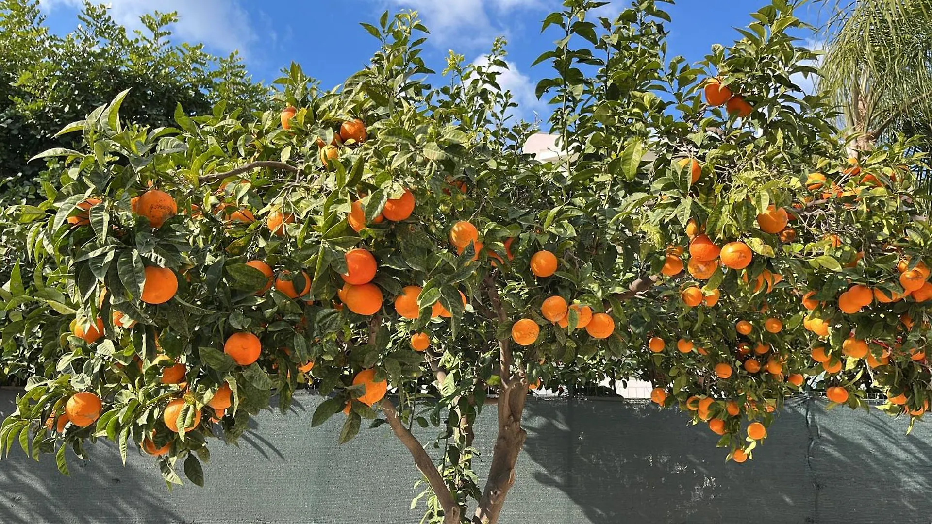 Appartamento Kalos Pozzallo Italy